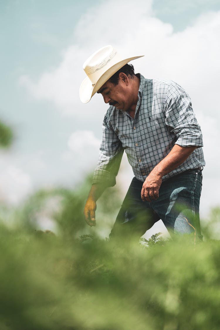 A Low Angle View Of A Male Farmer Working On His Field 