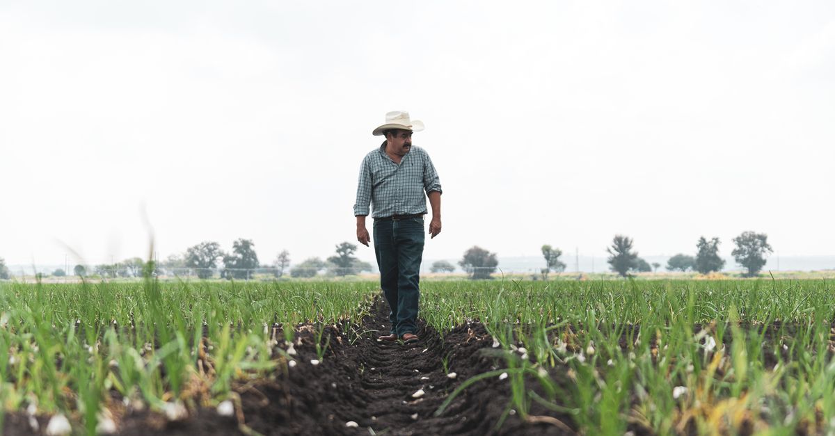 J. Cole walking through a field on his farm, wearing a hat, looking contemplative