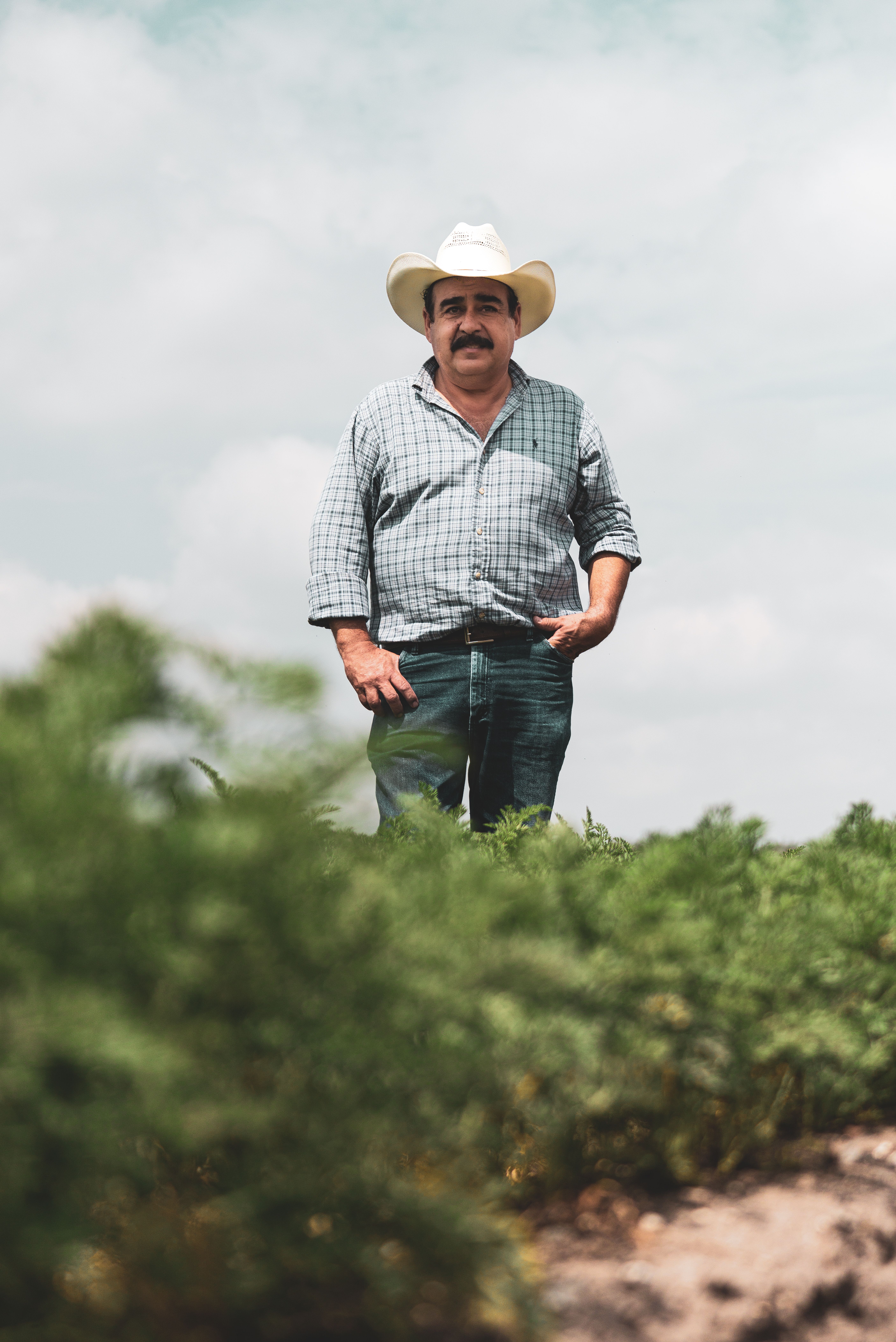 A farmer in a cowboy hat stands tall in a green field under a cloudy sky.
