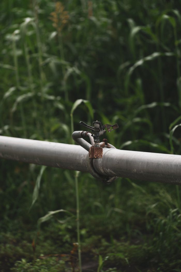 Commercial irrigation system in Riverside, Jacksonville