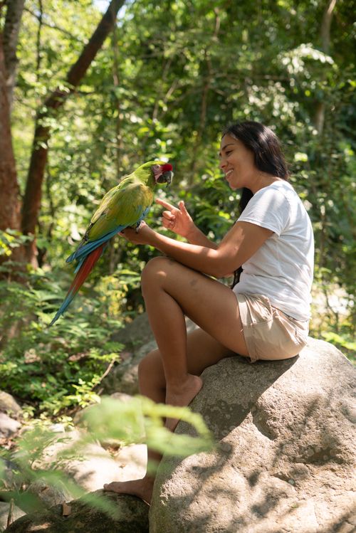 Free Smiling woman sitting on a rock interacting with a colorful macaw in a tropical forest. Stock Photo