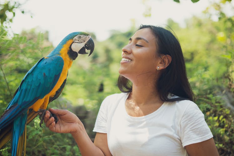 Woman Holding Colorful Parrot On Hand