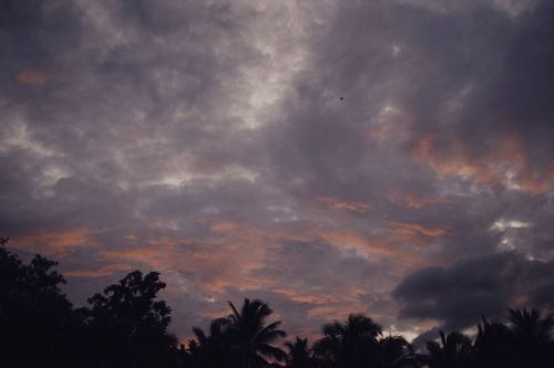 Free A moody sunset with dark clouds and silhouetted trees creating a dramatic atmosphere. Stock Photo