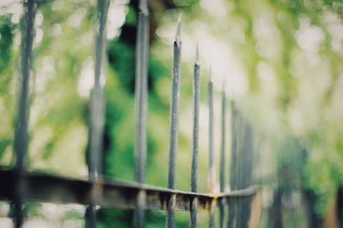 Free A Rusty Metal Fence Stock Photo