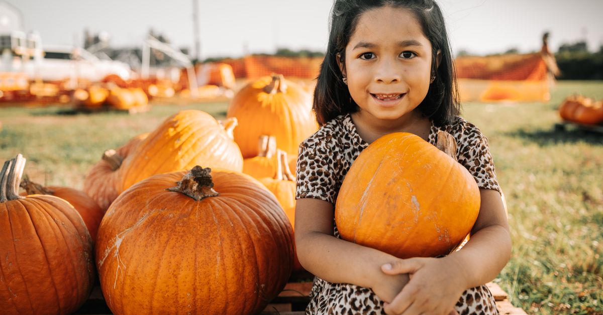 A Fall Morning at the Perry Homestead: Carrollton's Pumpkin Patch Returns October 10