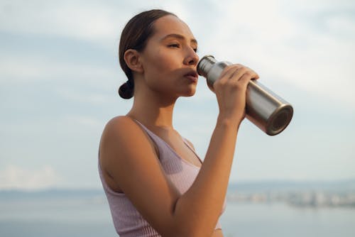 Gratis lagerfoto af drikke, hav, hestehale