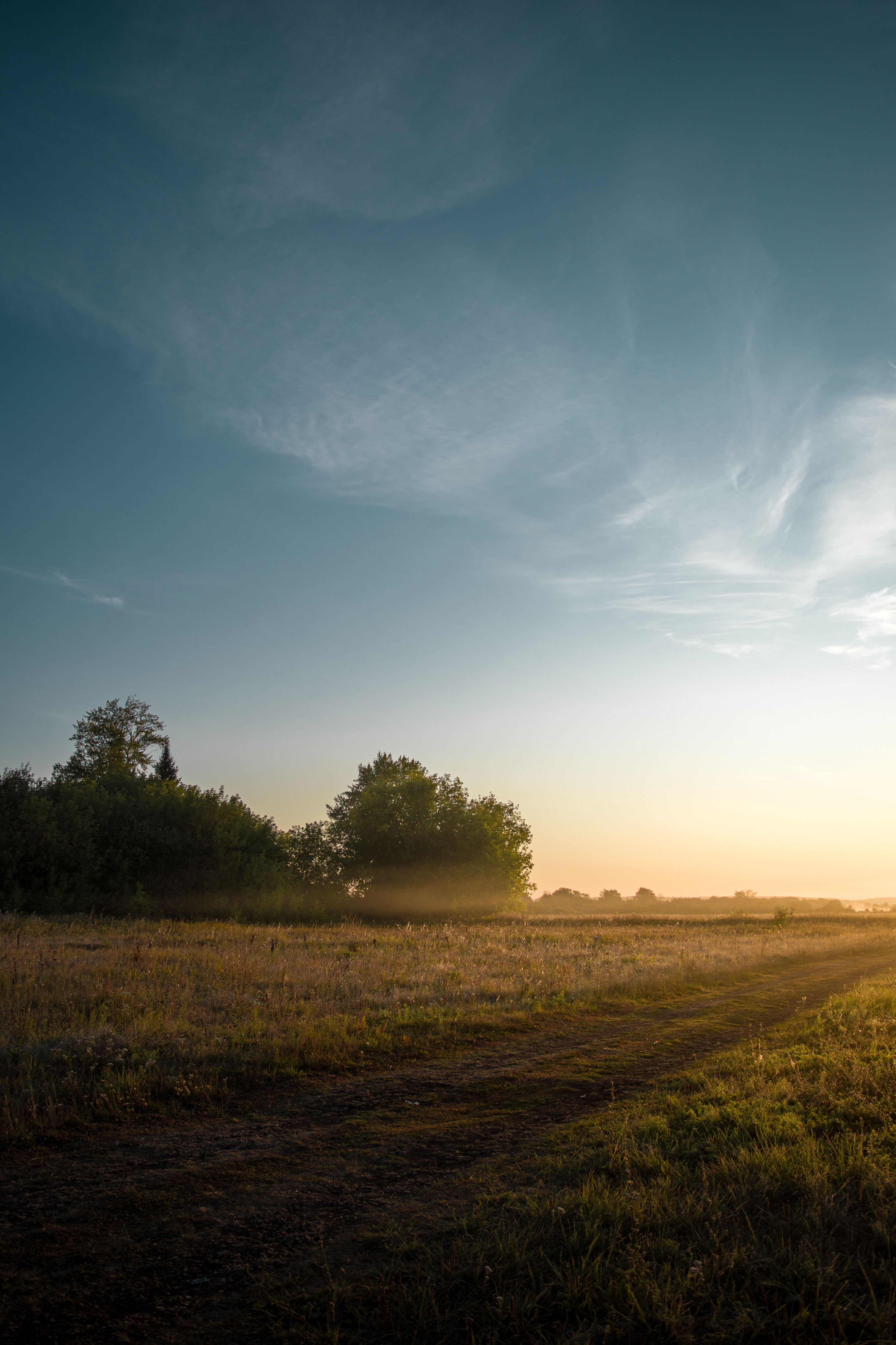 Peaceful rural landscape with fields and trees at sunrise, serene and idyllic.