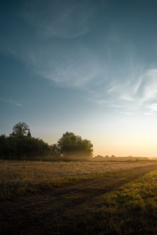 Free Peaceful rural landscape with fields and trees at sunrise, serene and idyllic. Stock Photo
