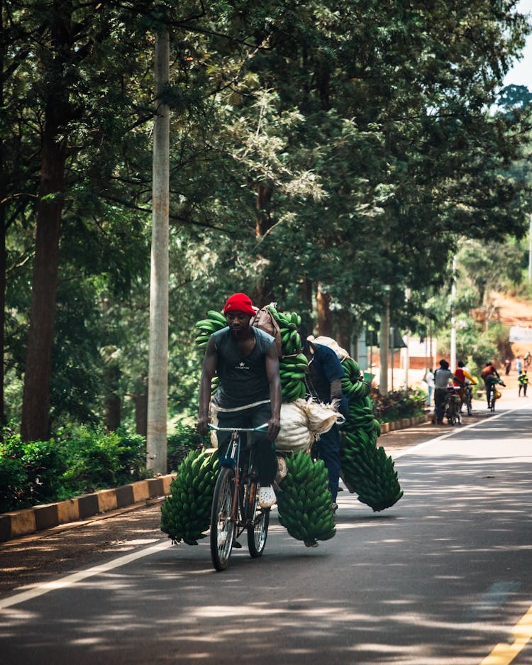 A Man Transporting Bananas With A Bicycle