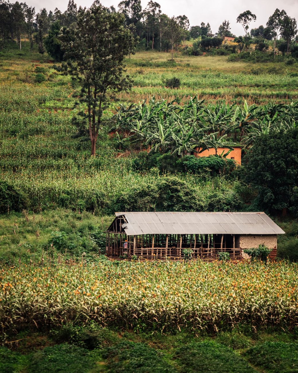 Magnatas do agro somam R$ 207,7 bilhões em patrimônio, segundo Forbes. Veja top 10