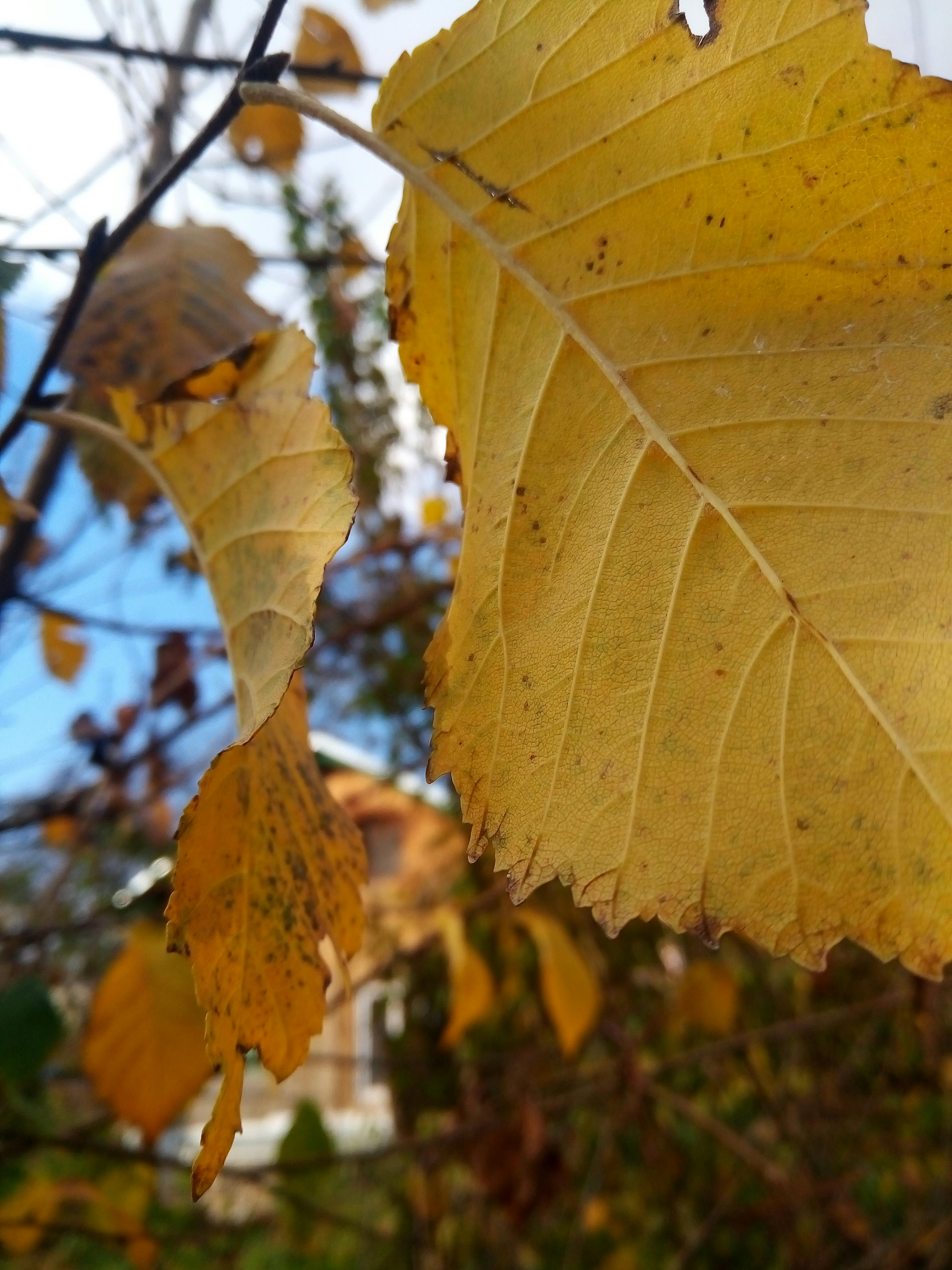 一个充满未来感的数字艺术作品，展示了人工智能与人类创造力的融合，象征着生成式AI在创意领域的应用。