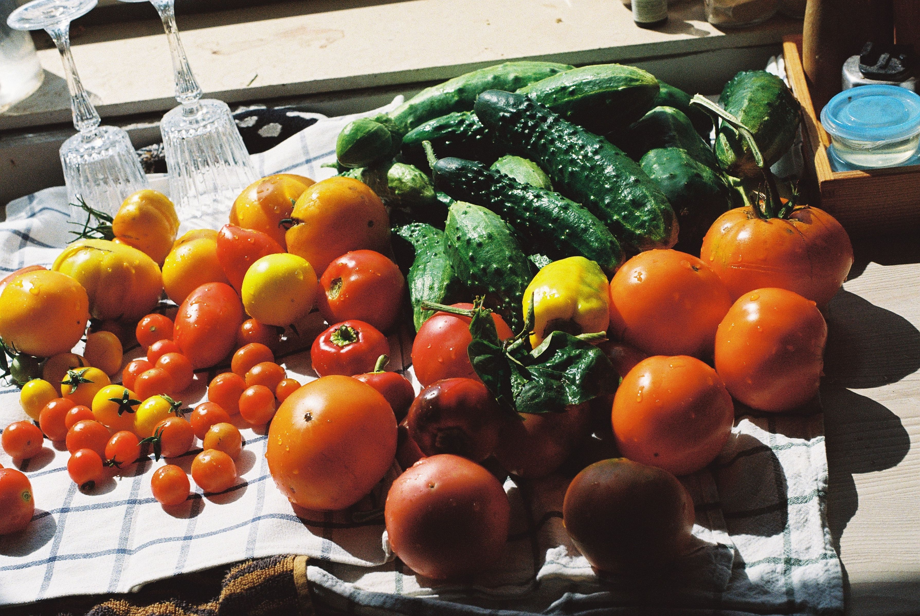 A person's hands holding a misshapen but vibrant red tomato and a curved cucumber