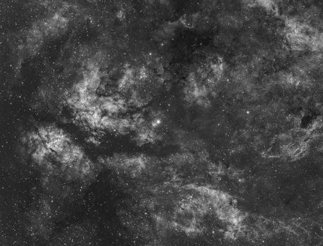 Black and white image capturing a detailed view of the starry sky with cosmic clouds.