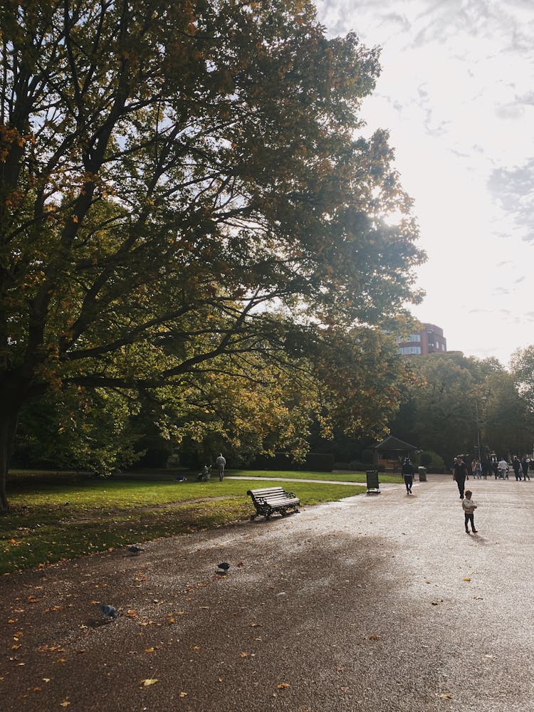 Footpath In A Park 