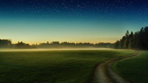 Immagine gratuita di alba, campo, cielo stellato