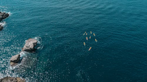 People Kayaking on the Sea