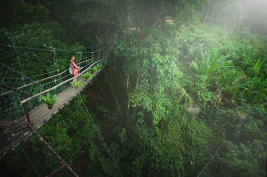 Girl Wearing Pink Dress Standing on Bridge Above Trees