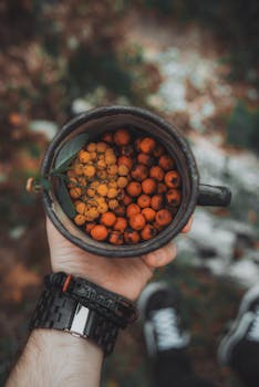Close-up of a hand holding a rustic mug filled with vibrant orange berries and leaves outdoors.