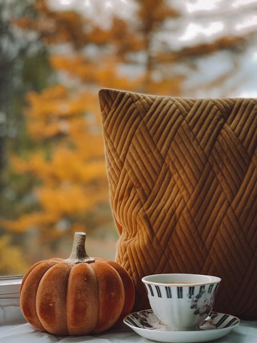 A Pumpkin and Ceramic Cup on the Table