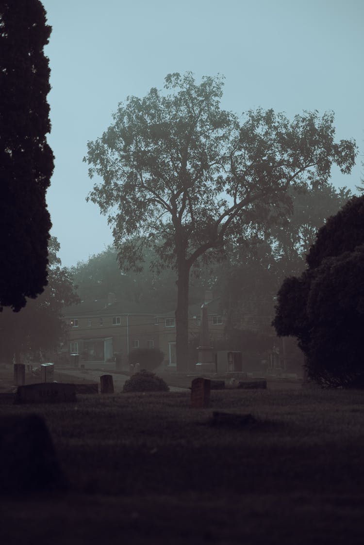 Photo Of A Graveyard 