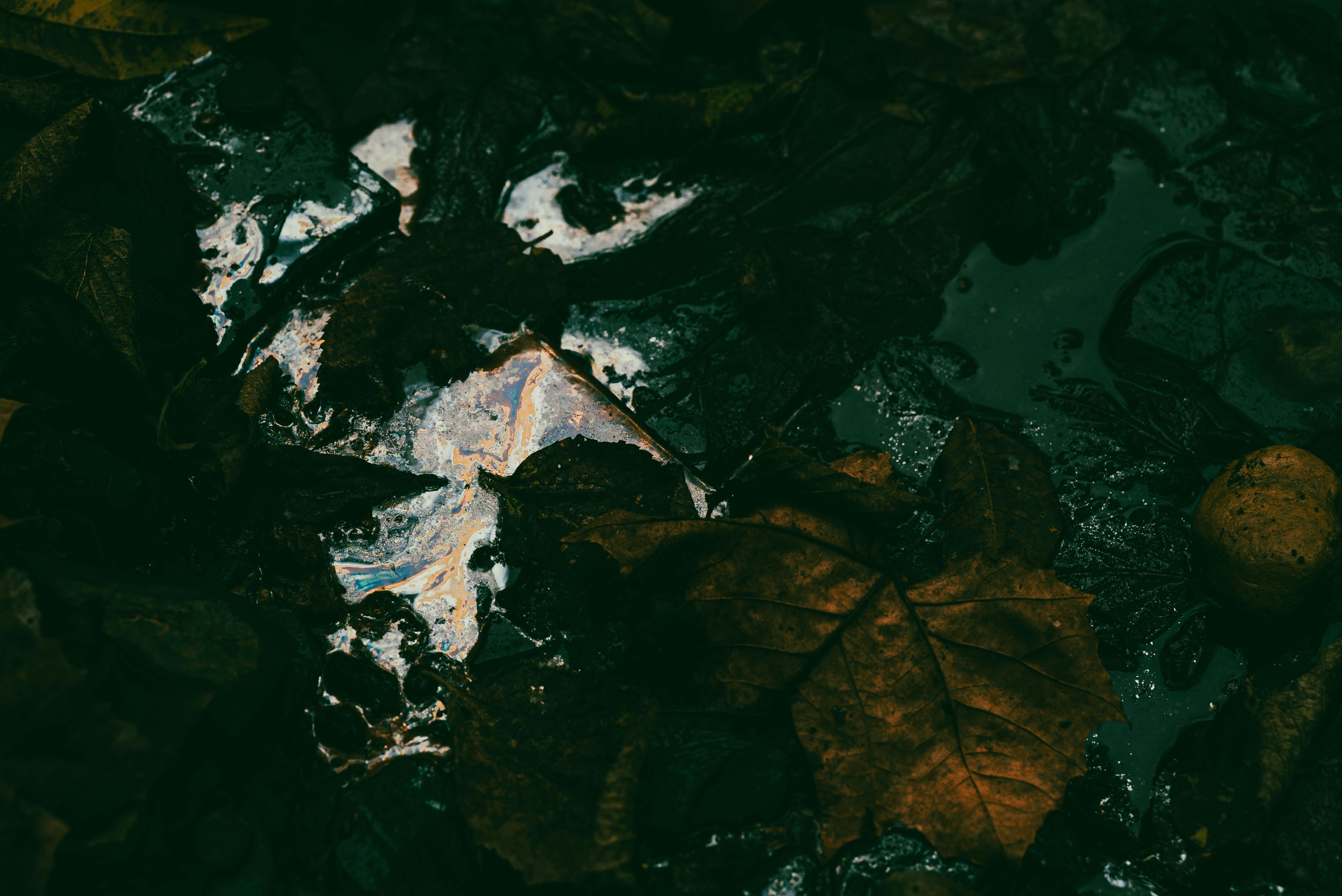 Mud on Street in Village · Free Stock Photo