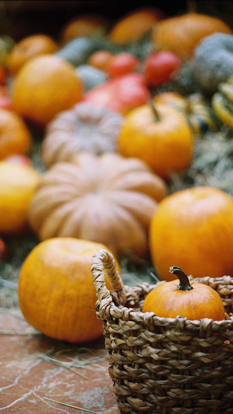 Colorful Pumpkins And Wicker Basket