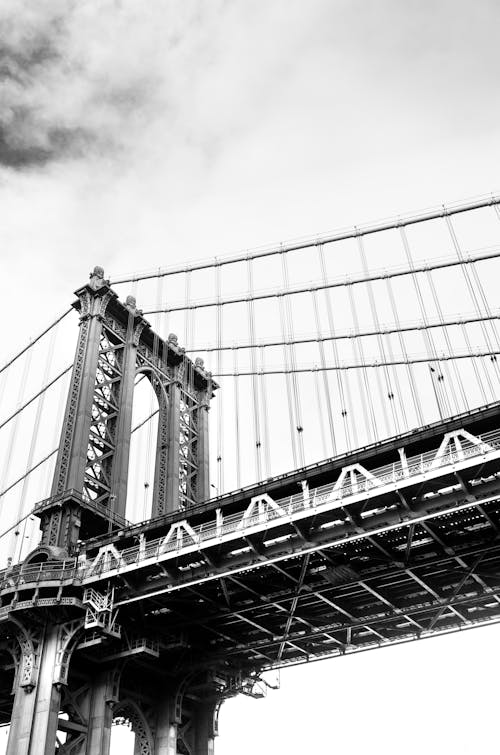 アメリカ, グレースケール, つり橋の無料の写真素材