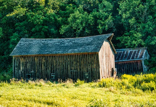 An Abandoned Barn Surrounded by Green Grass and Trees 
