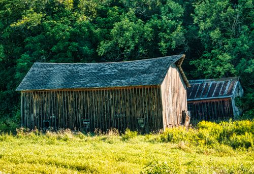 Free Rustic wooden barn surrounded by greenery and fields in rural Minnesota. Stock Photo