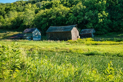 Gratis stockfoto met boerenwoning, gras, oude huizen Stockfoto
