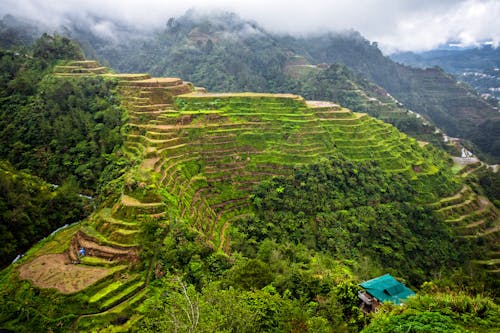 Rice Field on the Mountain Under Cloudy Sky