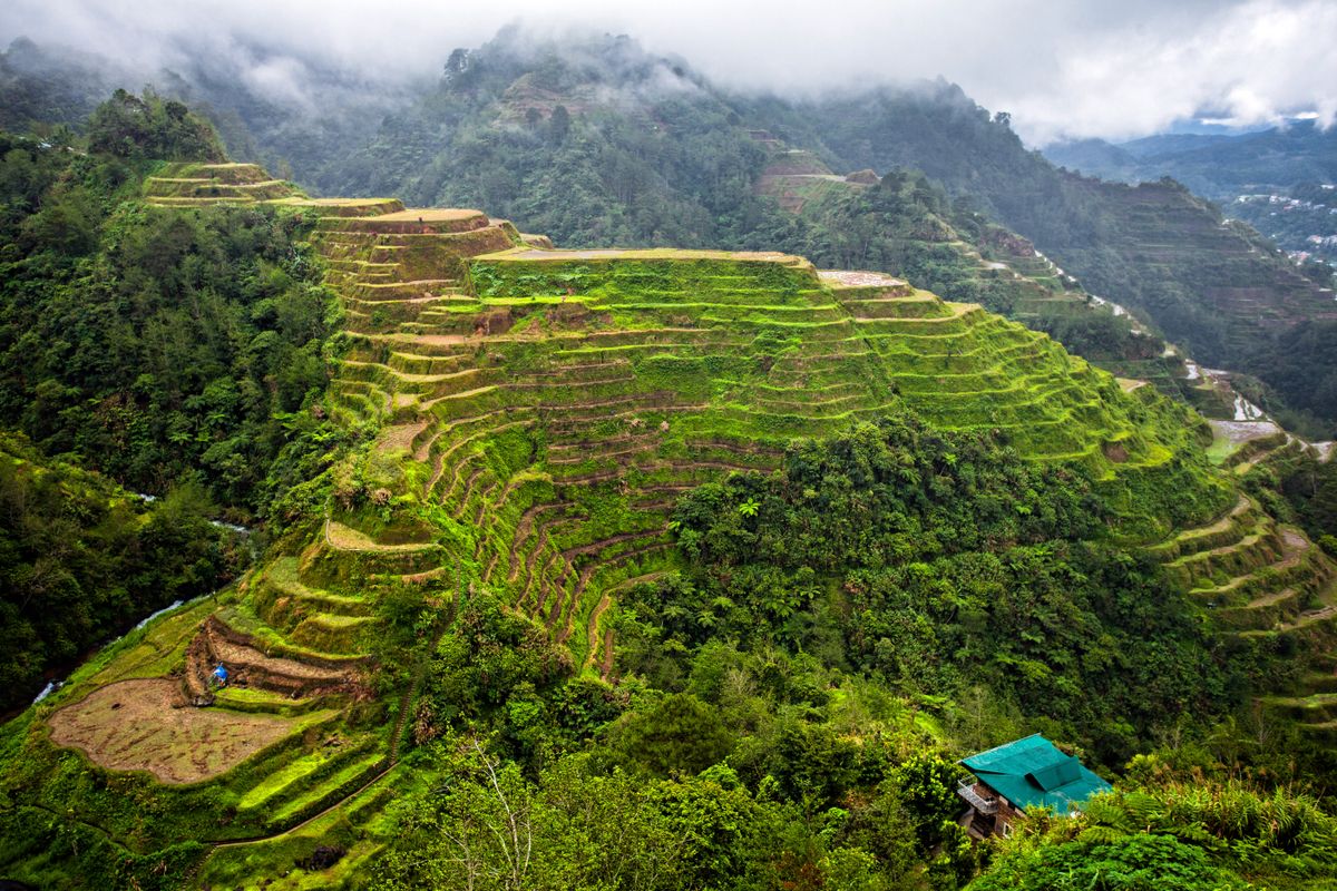 Ifugao food