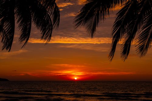 Free A stunning sunset over the ocean in Samui, Thailand, framed by palm leaves. Stock Photo