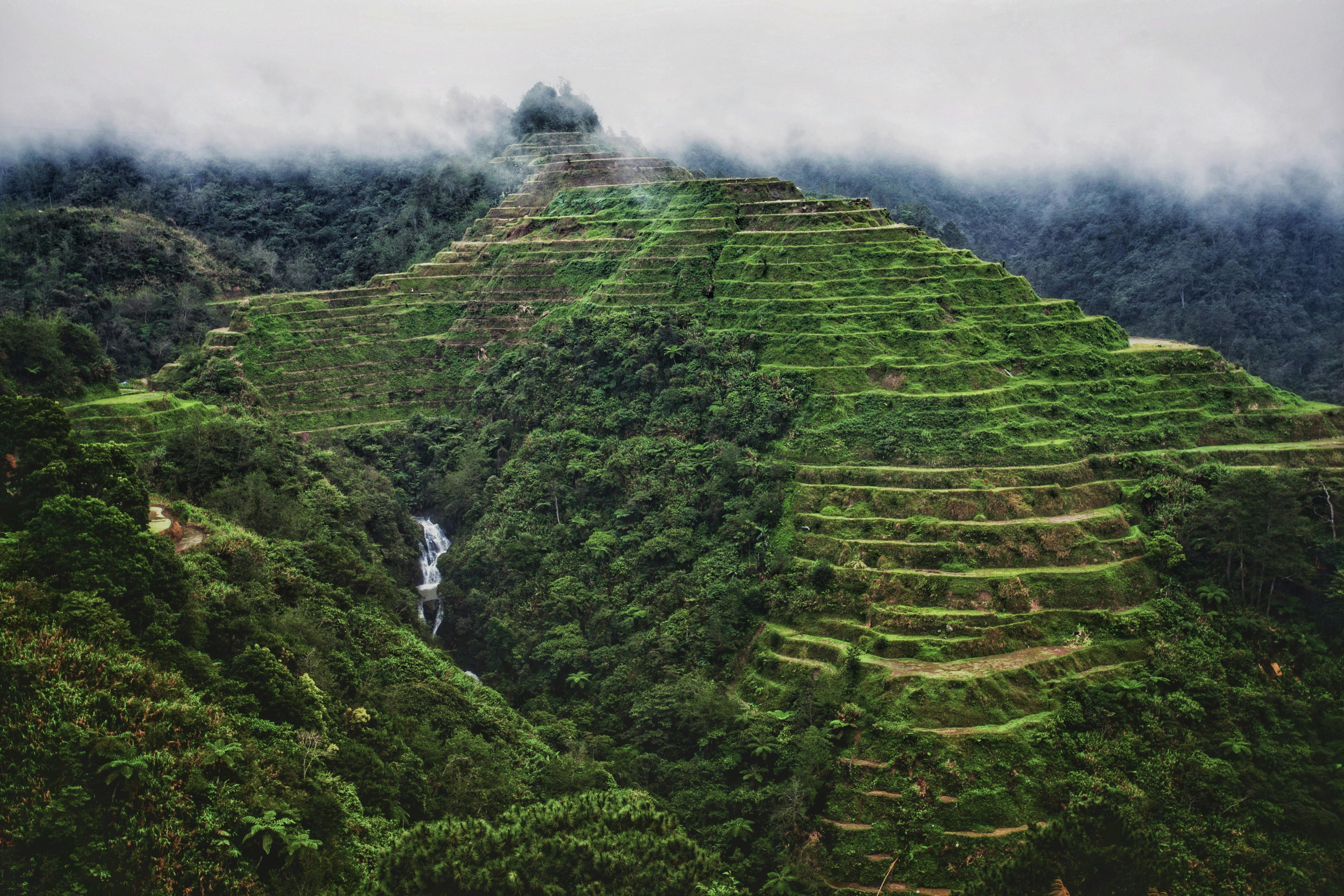 the banaue rice terraces in the philippines