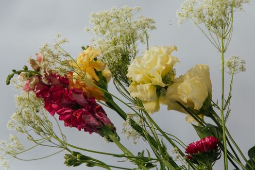 A close-up of a colorful floral arrangement featuring mixed flowers with delicate petals.