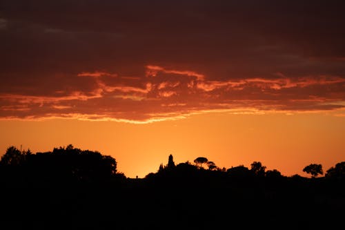 Kostenloses Stock Foto zu abendrot, bäume, dämmerung