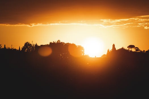 A vibrant sunset casting silhouettes over tree line, creating a warm scenic view.