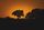 orange sunset