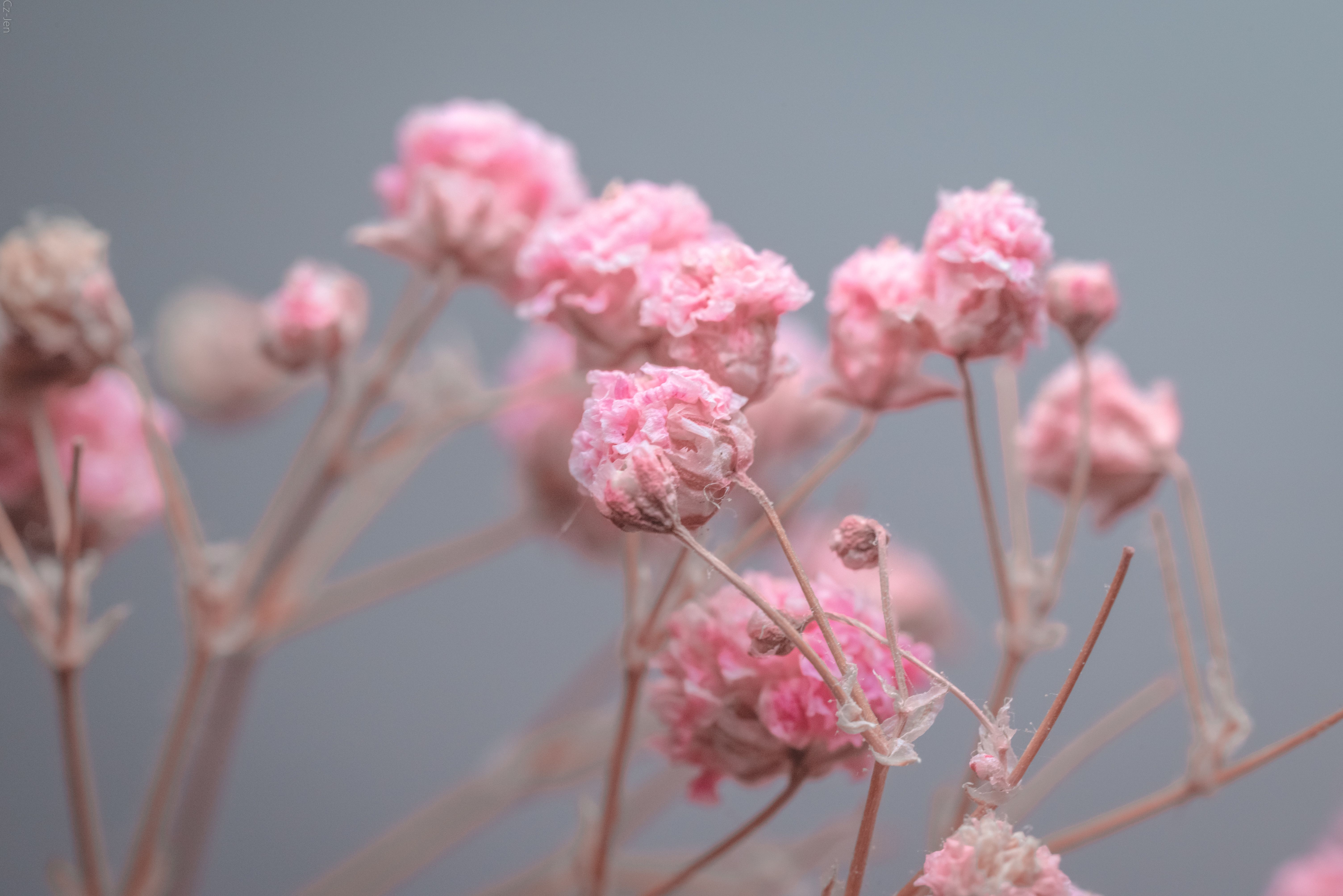 Bloemenprints in babykamer met pastelkleuren.
