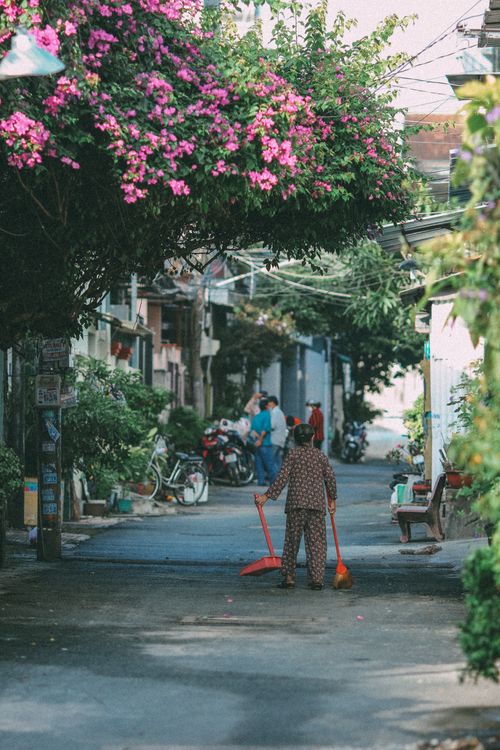 Free A woman in pajamas sweeps a cozy neighborhood street lined with vibrant flowers. Stock Photo