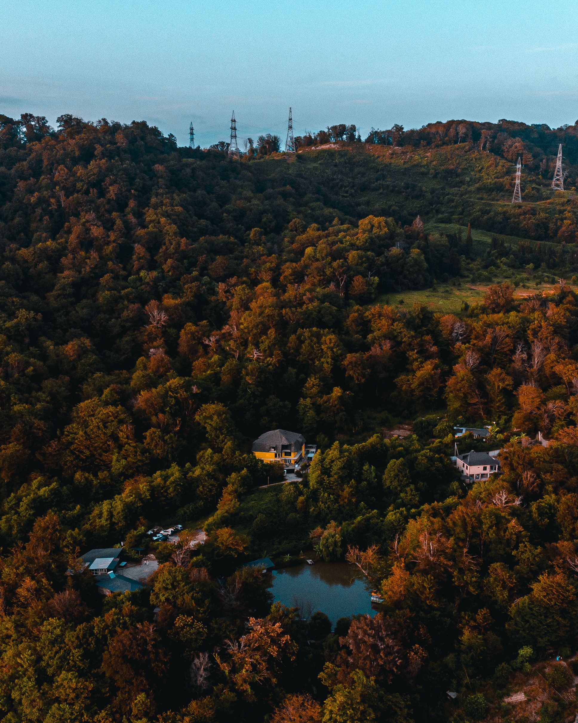 Aerial Shot of Houses in the Forest · Free Stock Photo