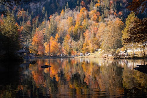 Reflection of the People and Trees on the Lake