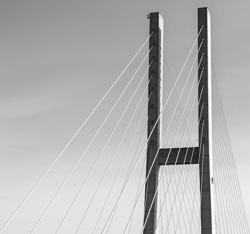 グレースケール写真の灰色のコンクリート橋