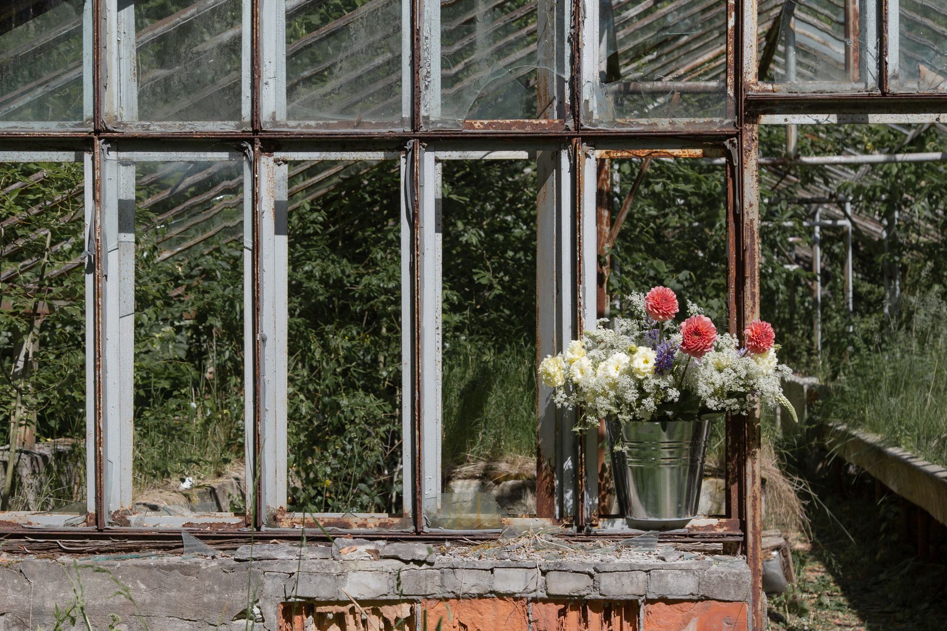A rustic abandoned greenhouse with a vibrant flower bouquet in a bucket on a sunny day.