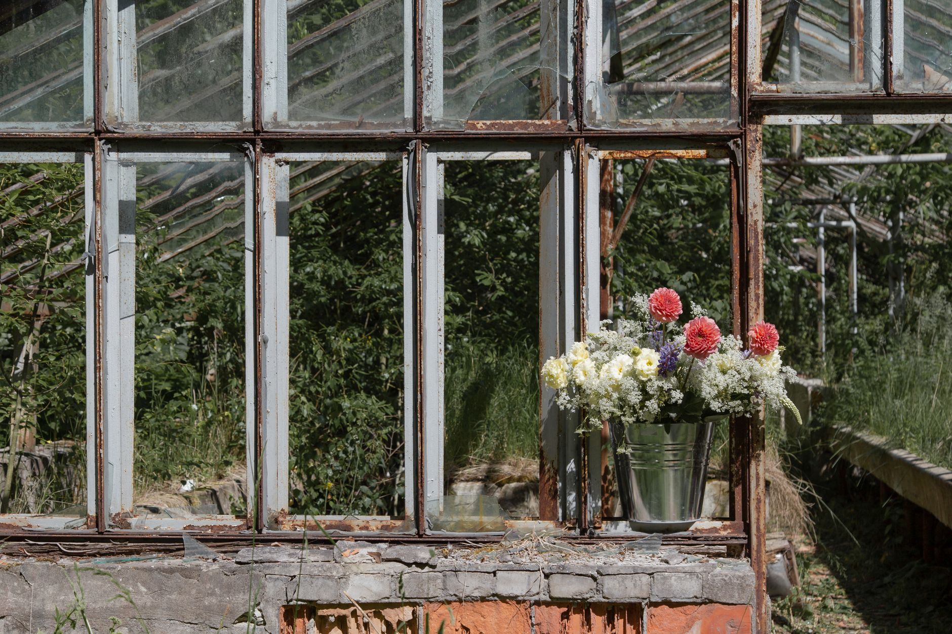 A rustic abandoned greenhouse with a vibrant flower bouquet in a bucket on a sunny day.