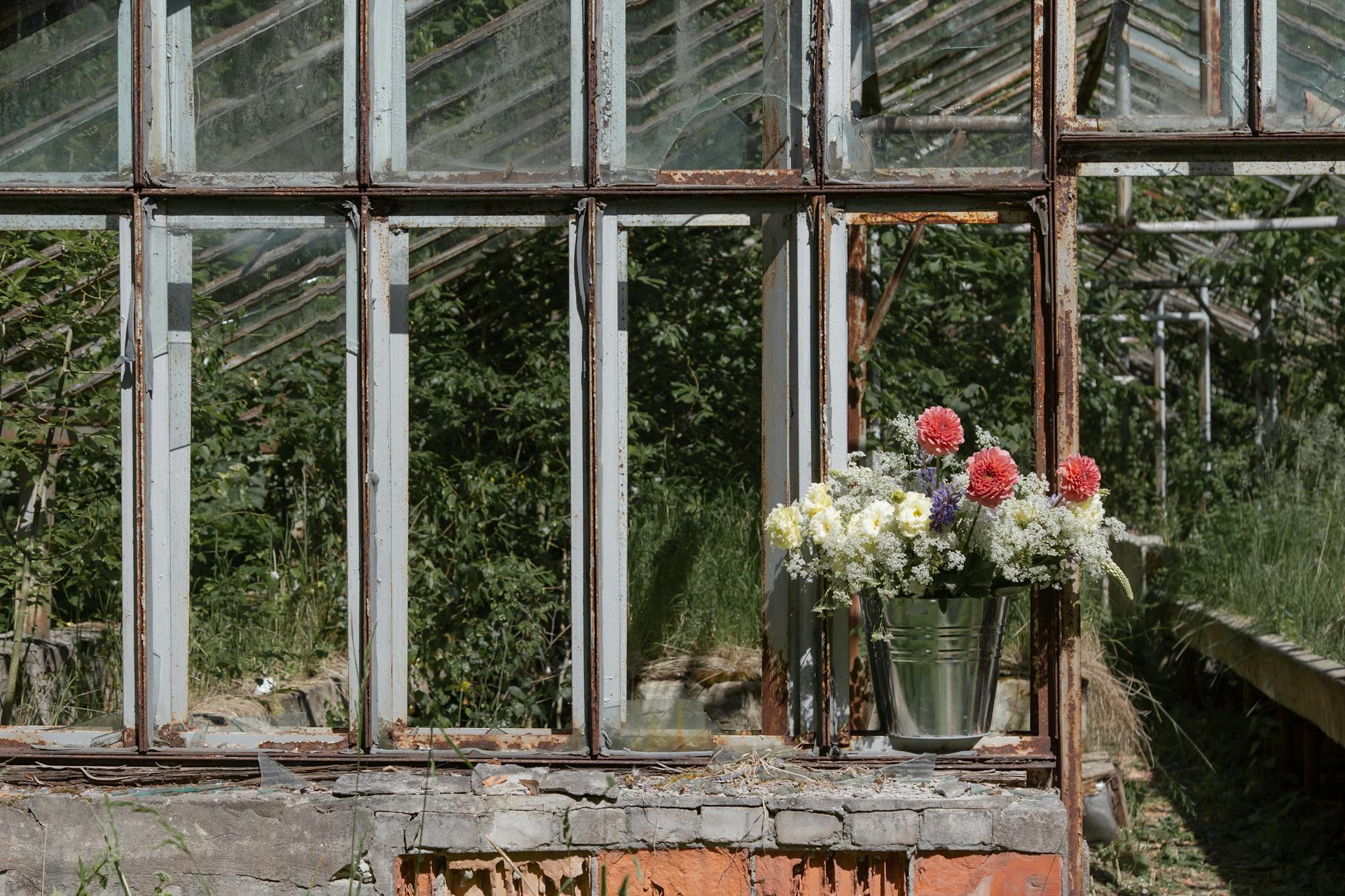 Red and White Flowers in Gray Steel Bucket