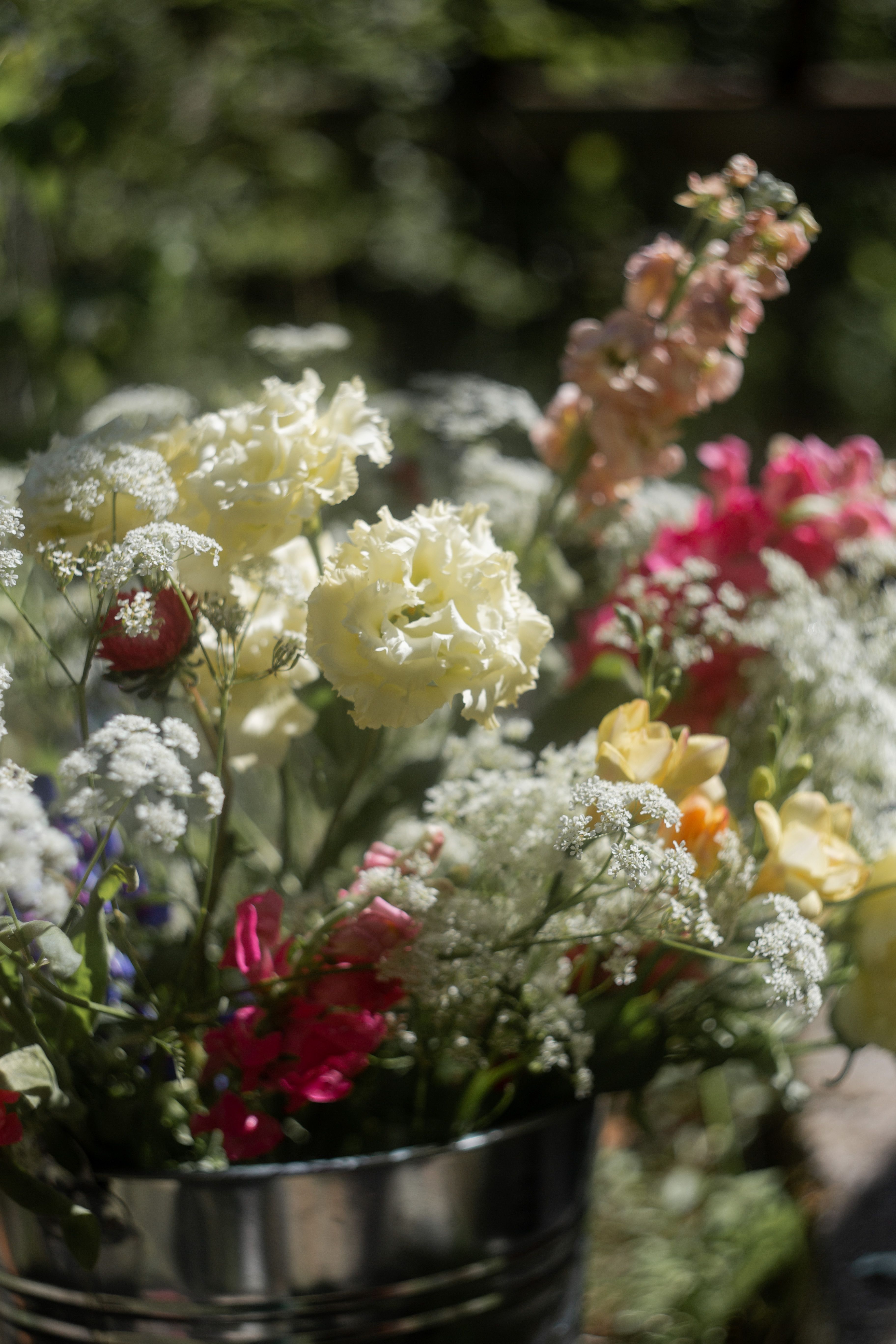 [ColoSach]-a-vibrant-bouquet-in-a-sunlit-garden,-featuring-various-flowers-with-a-blurred-background.