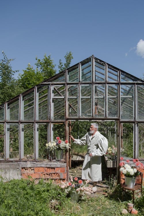 Free Elderly man tending to flowers in a vintage greenhouse under bright daylight. Stock Photo