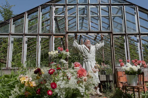 Kostnadsfri bild av anläggning, färgglada blommor, glasartiklar