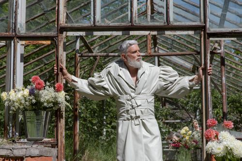 Free Stylish senior man with gray beard standing in greenhouse surrounded by flowers. Stock Photo